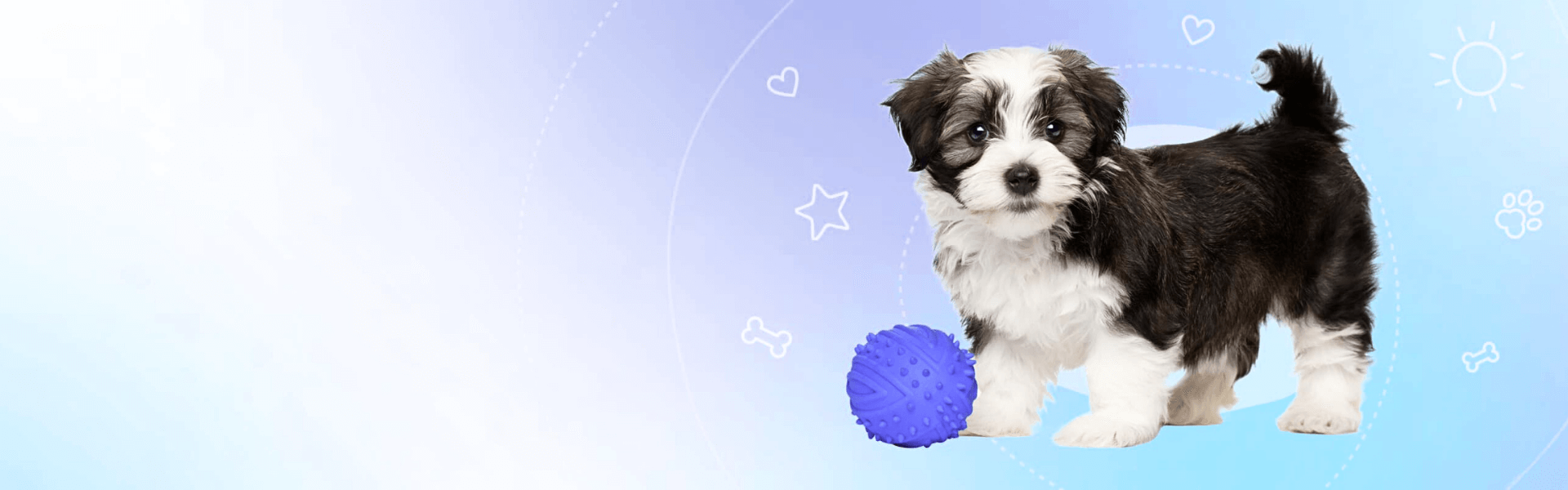 K9-Shop - банер играчки за любимци